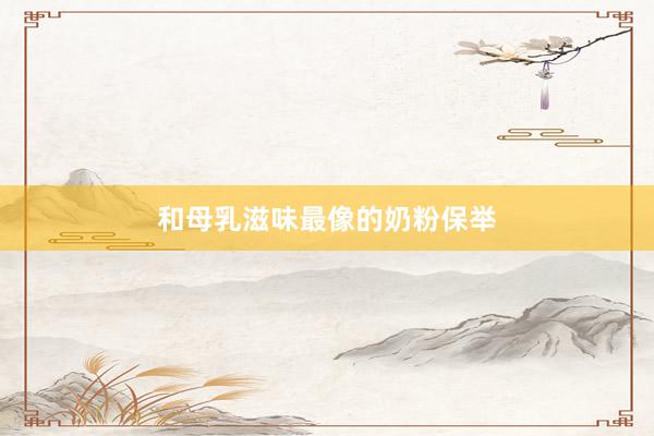 和母乳滋味最像的奶粉保举