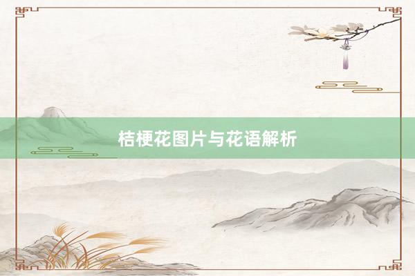 桔梗花图片与花语解析