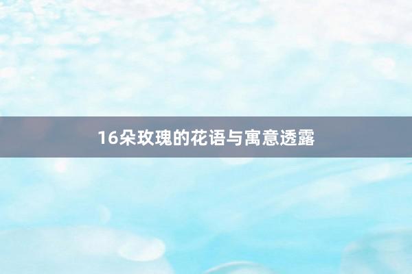 16朵玫瑰的花语与寓意透露