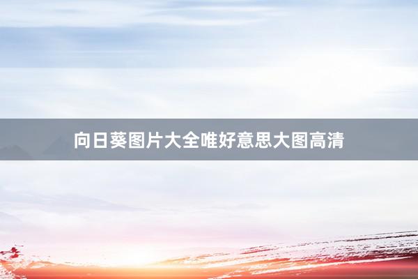 向日葵图片大全唯好意思大图高清