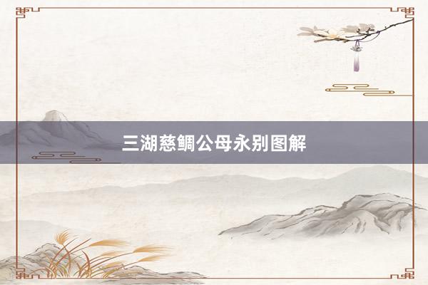 三湖慈鲷公母永别图解