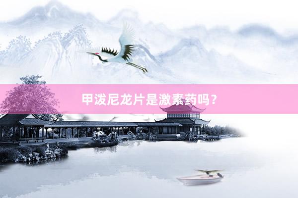 甲泼尼龙片是激素药吗？