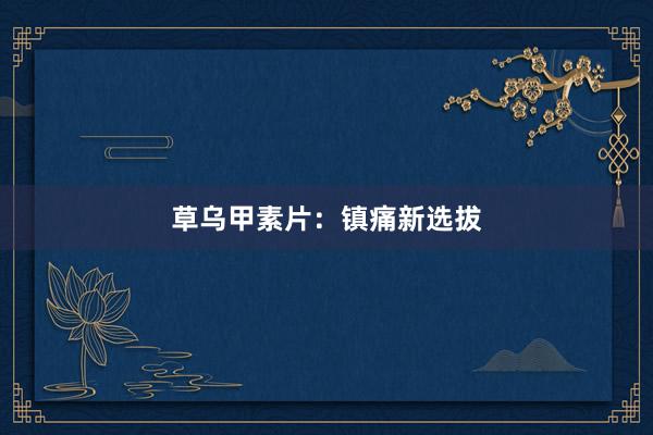 草乌甲素片：镇痛新选拔