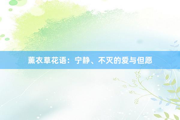 薰衣草花语：宁静、不灭的爱与但愿