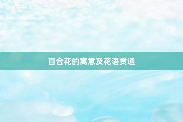 百合花的寓意及花语贯通